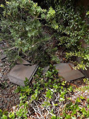 Tiles that flew off roof across patio because Vig contractor left roof site unsecured.