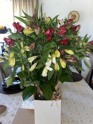 "Alstroemeria lillies"