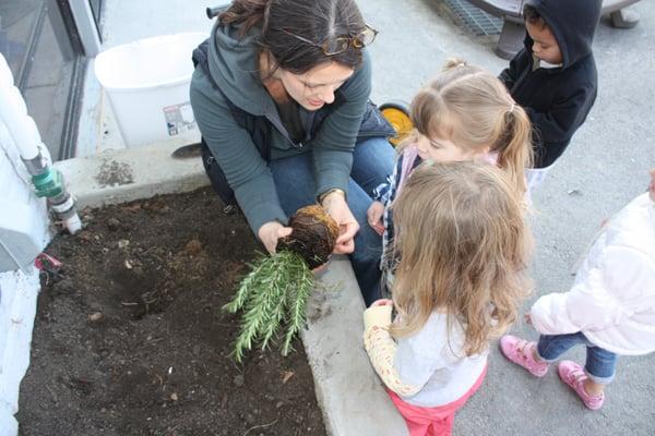 Each Class has a Garden