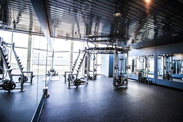 Functional Fitness room with the Hoist MotionCage