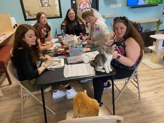 Kitties joining folks As they Color