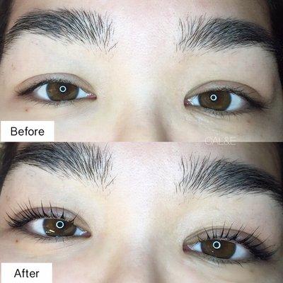 Current obsession - The Keratin Lash Lift