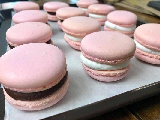 Macarons