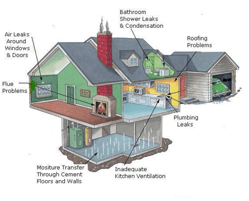 Home Mold Remediation San Francisco