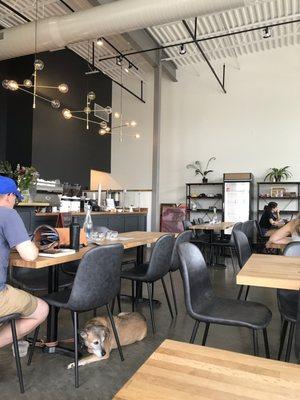 Inside Barista Social! Peep the cute dog