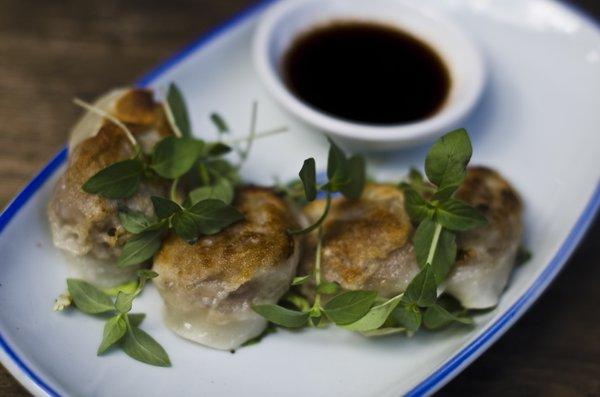 Mandoo style fried Dumplings