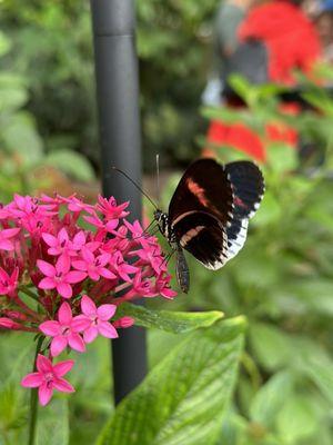 Houston Museum of Natural Science