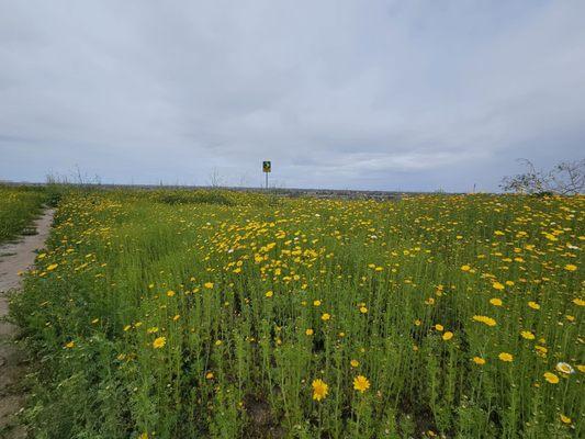 Talbert Regional Park