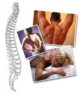 Optimum Chiropractic of WNY