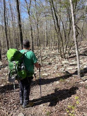 This is the blue blaze trail we followed    This area. I called the "ankle breaker"due to all the different rocks.