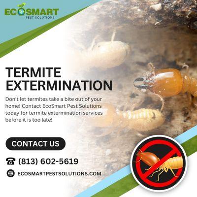 Now offering termite control & preventative options.