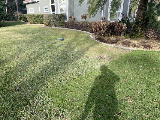 After damaging my entire lawn only replaced portions of the dead grass leaving large sections of weeds and dirt, like this was ok.