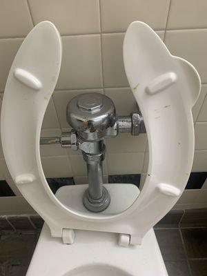 Poo on the seat