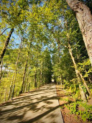 Walking trail