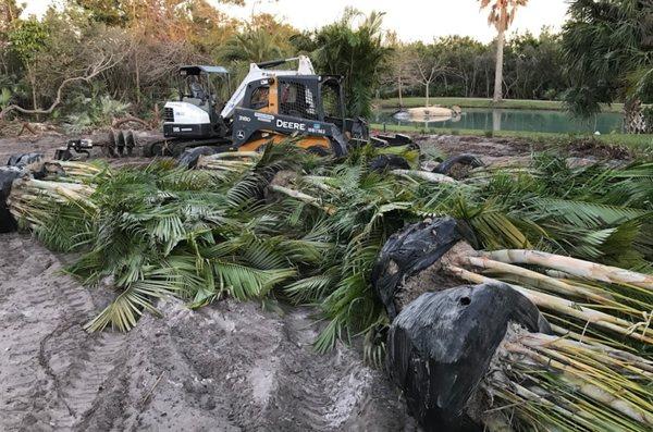 Large Landscape Install