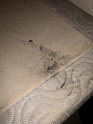 My bed I couldn't take it with me when I moved. Roach infested