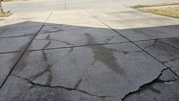 Shows a ton of cracks throughout driveway, none are new.