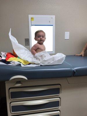 Just majestically hanging out after her 6 month shots! Veronica did so great Sawyer was up and happy right away!