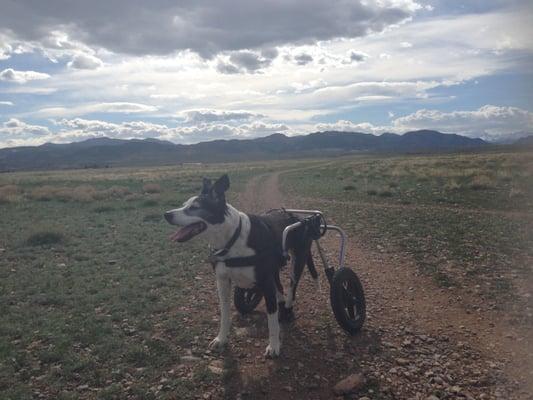 Jox loves the outdoors in her Rear Support Wheelchair