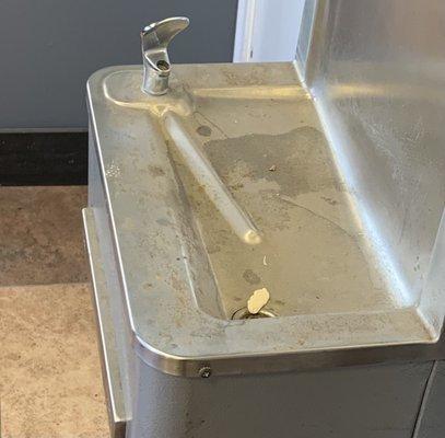 Water fountain hasn't EVER been cleaned AND has a piece of chewed gum in it