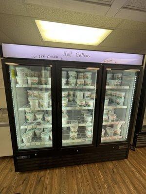 Ice Cream Freezer