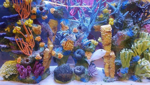 Underwater Aquarium