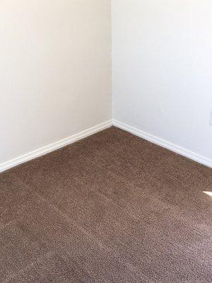 Carpet after