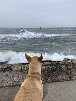 Jax first view of surfers