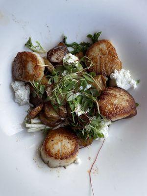 Scallops and potatoes