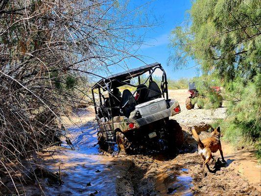 Size Matters ATV, UTV Rentals & Tours