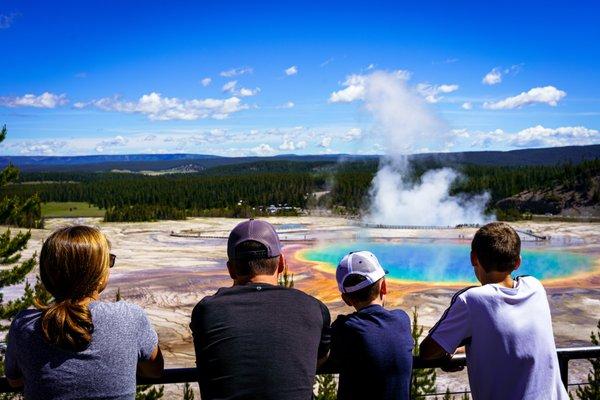 Grand Prismatic is a common stop on our Wildlife and Geology Adventure