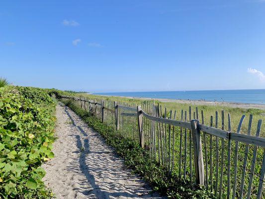 Walking to north section of beach