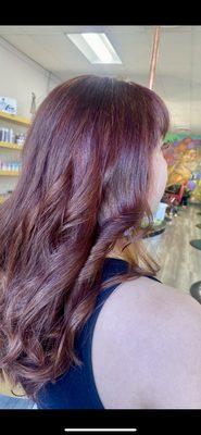 Professional hair color full head tint. Walnut Creek Ca. By Mozghan