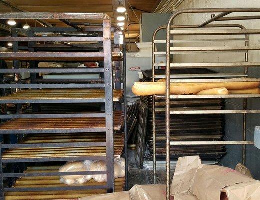 Bread fresh out of the oven cooling on racks.