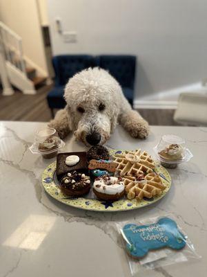 Great selection of donuts, waffles, cannoli, cupcakes for pawty!!