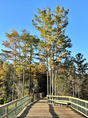 Beautiful autumn day on the trail