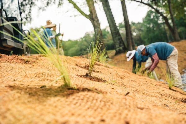 Ecological Improvements