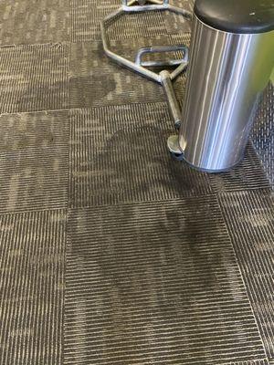 Stained, dirty and gross carpet