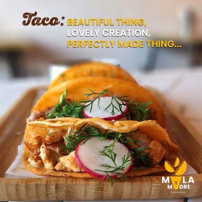 A taco: an edible masterpiece, a delightful creation, perfection in every bite!