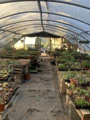 Just one of the greenhouses on the property