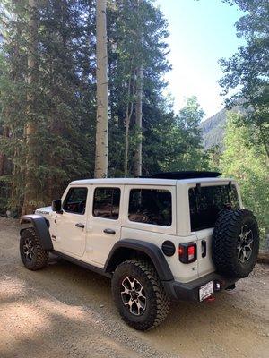 On the Alpine loop