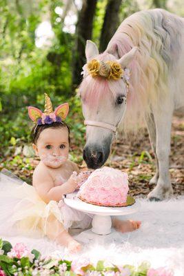 Magical cake smash with a real life unicorn