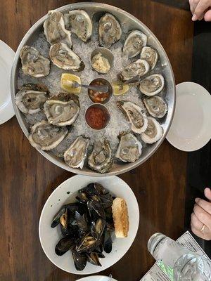 Oysters and mussels