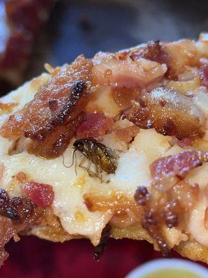 A roach in meat lovers pizza