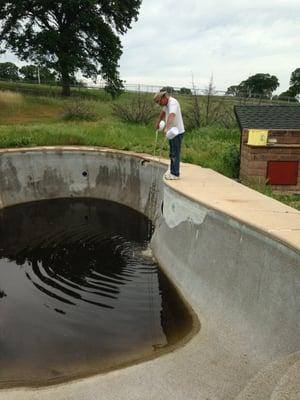 Turning a black pool into a blue pool.  Not a fun task when they've been left to nature!