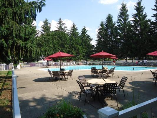 Resort style swimming pool