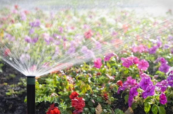 Sprinkler System Installation and Management