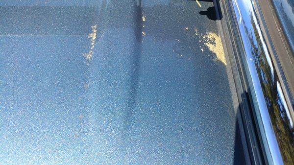 Dirty roof after a,total wash and wax, detailing? Not really.