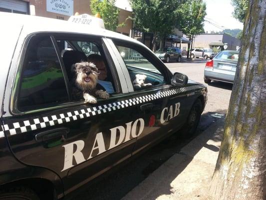 Pups love Radio Cab.