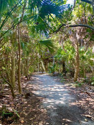 The Walk to the Beach